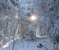 20151129_papuk_028