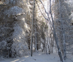 20151129_papuk_029