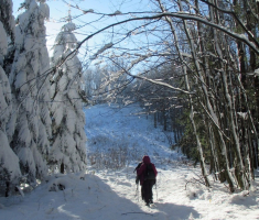 20151129_papuk_031
