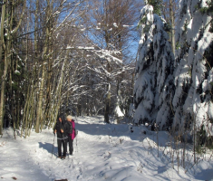 20151129_papuk_033