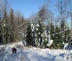 20151129_papuk_034