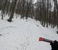 20251129_papuk_trekk_and_trail_037