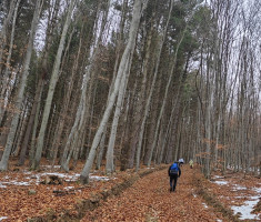 20251129_papuk_trekk_and_trail_104