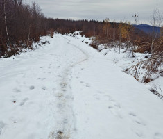 20251129_papuk_trekk_and_trail_105