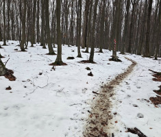 20251129_papuk_trekk_and_trail_107