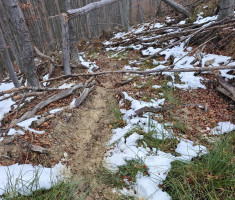 20251129_papuk_trekk_and_trail_108