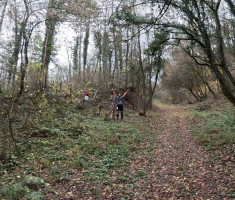 20251206_podunavlje_trail_042