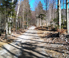 20151229_platak_003