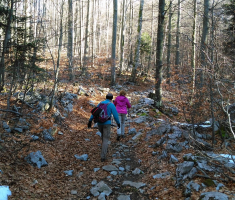 20151229_platak_004