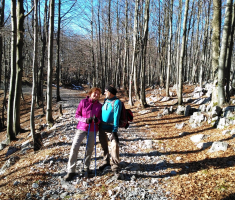 20151229_platak_006