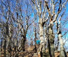 20151229_platak_010