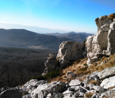 20151229_platak_022