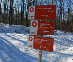 20241229_mali_borovik_trail_13km047