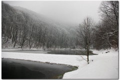 30.01.2011. Papuk