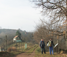 20160130_vrhovacki_grad_005