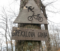 20160130_vrhovacki_grad_022
