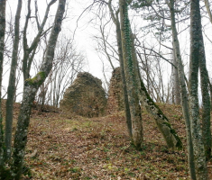 20160130_vrhovacki_grad_035