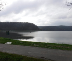 20250330_borovik_trail_17km_060