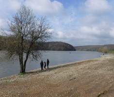 20250330_borovik_trail_17km_080
