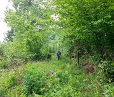 20160430_pozeska_gora_013