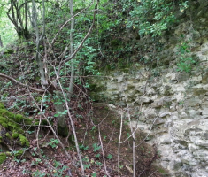 20160430_pozeska_gora_015