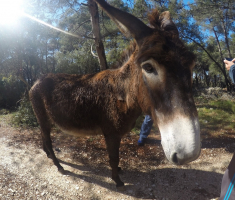 DCIM100GOPROGOPR0124.JPG