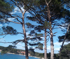 20170430_losinj_003