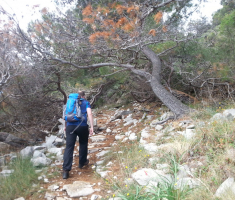 20170430_losinj_021
