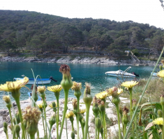20170430_losinj_024