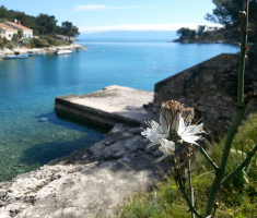 20170430_losinj_026