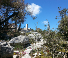 20170430_losinj_036