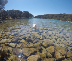 DCIM100GOPROGOPR0131.JPG