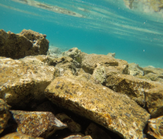 DCIM100GOPROGOPR0133.JPG