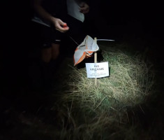 20250830_baranja_night_trail_107