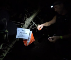 20250830_baranja_night_trail_113