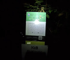 20250830_baranja_night_trail_117