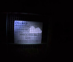 20250830_baranja_night_trail_119