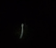 20250830_baranja_night_trail_123