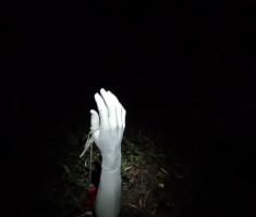 20250830_baranja_night_trail_124