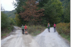 30.09.2012. - Papuk