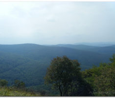 papuk_klupica_kamengradl_00006