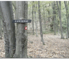 papuk_klupica_kamengradl_00028