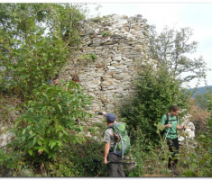 papuk_klupica_kamengradl_00033
