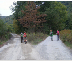 papuk_klupica_kamengradl_00039