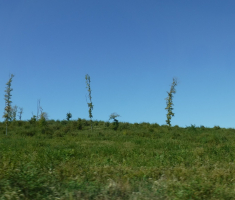 20180930_krndija_096