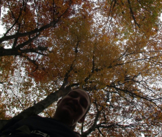 20161030_krndija_044