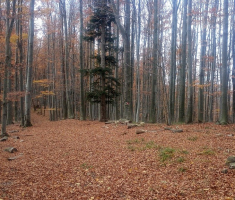 20161030_papuk_001