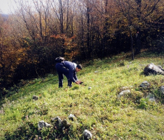 20161030_papuk_006
