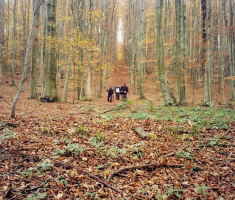 20161030_papuk_009