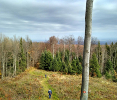 20161030_papuk_013